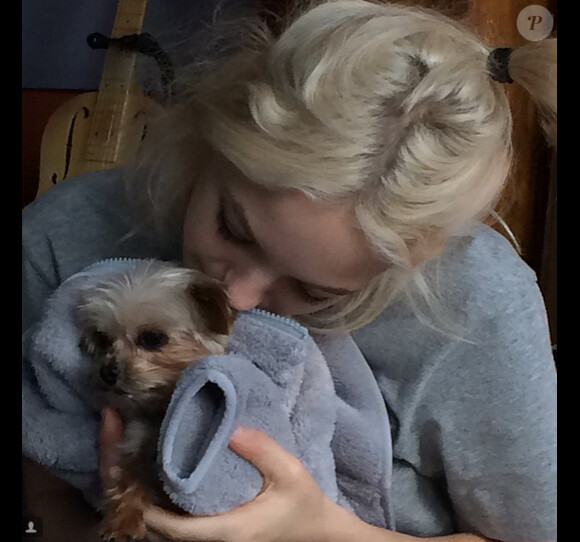 Le 1er décembre 2014 sur Instagram, Lily-Rose Depp a ajouté une photo avec son petit chien.