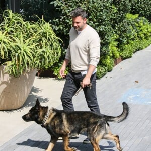 Ben Affleck arrive au bureau avec son berger allemand à Beverly Hills, Los Angeles, le 14 juillet 2015.