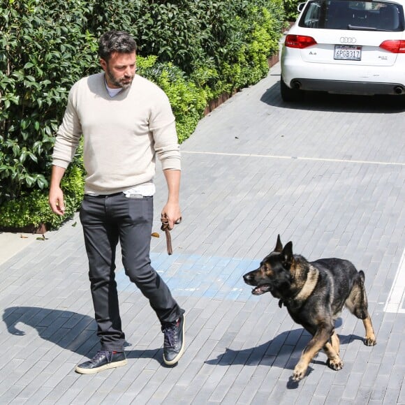 Ben Affleck arrive au bureau avec son berger allemand à Beverly Hills, Los Angeles, le 14 juillet 2015.