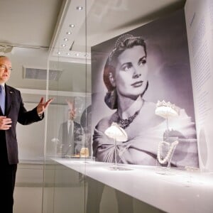 Le prince Albert II de Monaco et le roi Willem-Alexander des Pays-Bas inaugurent l'exposition Grace Kelly au palais de Het Loo à Apeldoorn, le 3 juin 2014.