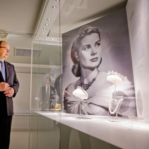 Le prince Albert II de Monaco et le roi Willem-Alexander des Pays-Bas inaugurent l'exposition Grace Kelly au palais de Het Loo à Apeldoorn, le 3 juin 2014.