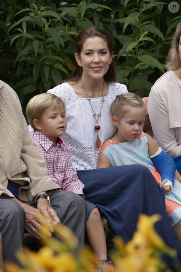 La princesse Mary avec ses jumeaux. La famille royale de Danemark posait le 25 juillet 2015 dans le parc du château de Grastenpour la traditionnelle séance photo des vacances d'été.