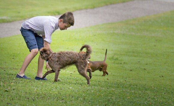 Le prince Christian s'amuse avec les chiens. La famille royale de Danemark a pris la pose le 25 juillet 2015 dans le parc du château de Grastenpour la traditionnelle séance photo des vacances d'été.