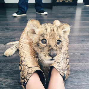 Kendall Jenner (chaussée de bottines Saint Laurent en faux python) et l'adorable Eddie, bébé titre du parc de la fondation Black Jaguar White Tiger, à Mexico City. Photo publiée le 6 août 2015.