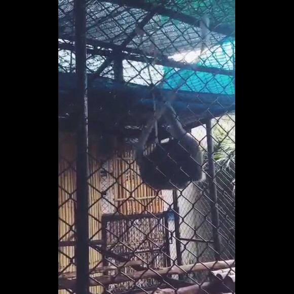 Capucine Anav (et la voix de Louis Sarkozy?) : fan d'un singe en Thaïlande
