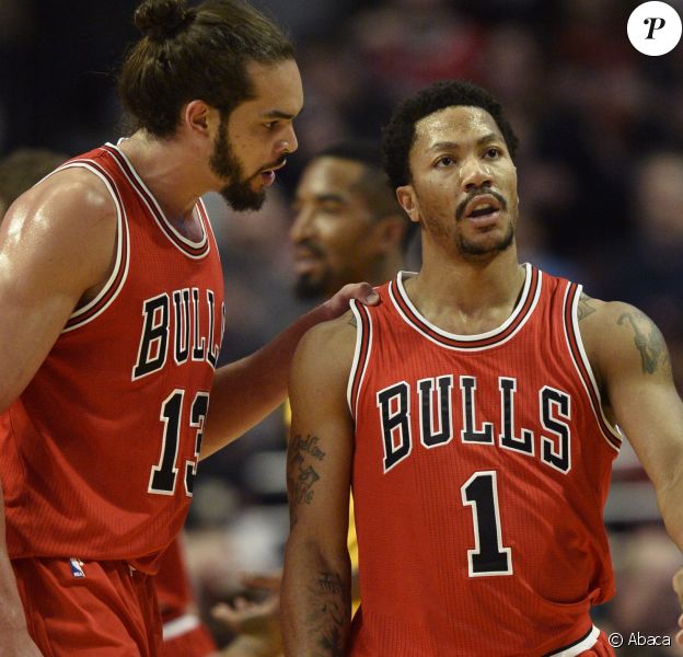 rose chicago bulls