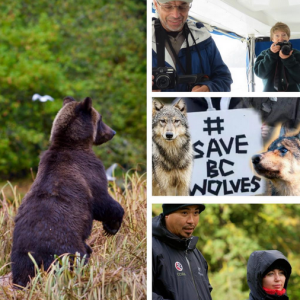 Miley Cyrus et son frère Braison sont partis visiter la fôret des Grands Ours au Canada pour défendre les loups chassés par le gouvernement pour préserver les caribous / photo postée sur Instagram.