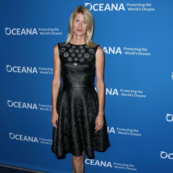Laura Dern - Photocall de la soirée "Our Ocean" à Beverly Hills Le 29 septembre 2015.