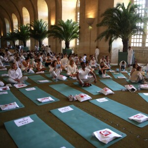 Exclusif - Illustration de l'Orangerie et ses alentours dans le Parc du Château de Versailles - Les Yogis du Coeur, le plus grand rassemblement de yoga solidaire organisé par et au profit de l'association Mécénat Chirurgie Cardiaque, à l'Orangerie du Château de Versailles, le 27 septembre 2015.