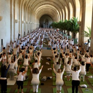 Exclusif - Illustration de l'Orangerie et ses alentours dans le Parc du Château de Versailles - Les Yogis du Coeur, le plus grand rassemblement de yoga solidaire organisé par et au profit de l'association Mécénat Chirurgie Cardiaque, à l'Orangerie du Château de Versailles, le 27 septembre 2015.