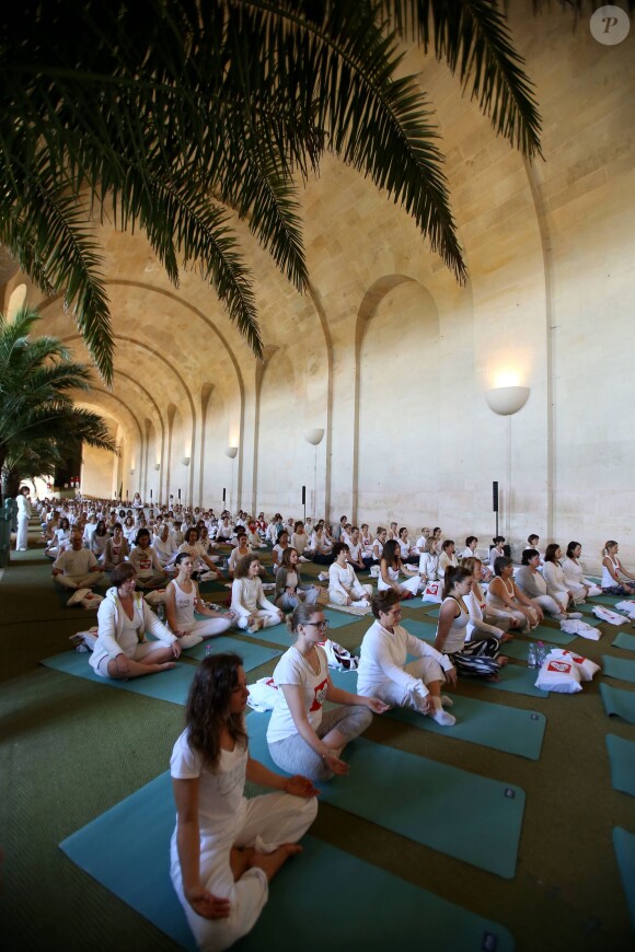 Exclusif - Illustration de l'Orangerie et ses alentours dans le Parc du Château de Versailles - Les Yogis du Coeur, le plus grand rassemblement de yoga solidaire organisé par et au profit de l'association Mécénat Chirurgie Cardiaque, à l'Orangerie du Château de Versailles, le 27 septembre 2015.