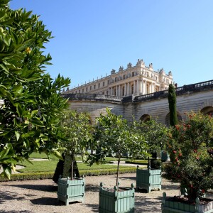 Exclusif - Illustration de l'Orangerie et ses alentours dans le Parc du Château de Versailles - Les Yogis du Coeur, le plus grand rassemblement de yoga solidaire organisé par et au profit de l'association Mécénat Chirurgie Cardiaque, à l'Orangerie du Château de Versailles, le 27 septembre 2015.