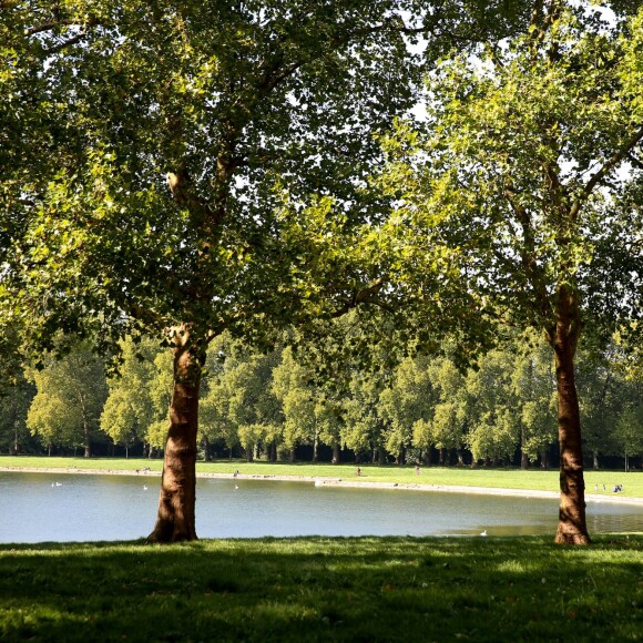 Exclusif - Illustration de l'Orangerie et ses alentours dans le Parc du Château de Versailles - Les Yogis du Coeur, le plus grand rassemblement de yoga solidaire organisé par et au profit de l'association Mécénat Chirurgie Cardiaque, à l'Orangerie du Château de Versailles, le 27 septembre 2015.