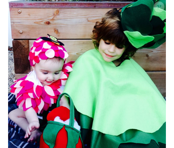 Brooks et Scarlett, les enfants de Molly Sims déguisés / photo postée sur le compte Instagram de l'actrice américaine.