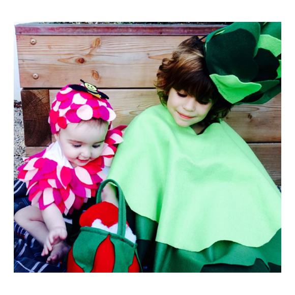 Brooks et Scarlett, les enfants de Molly Sims déguisés / photo postée sur le compte Instagram de l'actrice américaine.