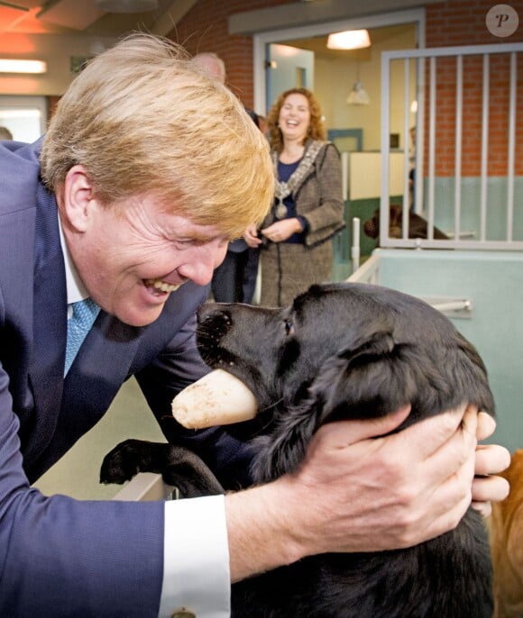 Le roi Willem-Alexander des Pays-Bas étrennait le concept de visite virtuelle avec un chien guide d'aveugle le 4 novembre 2015 à Amstelveen à l'occasion des 80 ans de l'organisme KNGF Guide qui entraîne ces chiens.