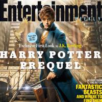 Les Animaux fantastiques : Les premières images du spin-off d'Harry Potter !