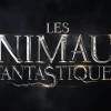 Premier poster du film Les Animaux Fantastiques. Sortie prévue en novembre 2016.
