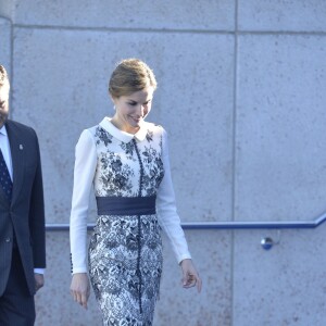 La reine Letizia d'Espagne procédait le 10 novembre 2015 à la remise cérémonielle du drapeau à la Police nationale espagnole, à Avila (centre de l'Espagne).