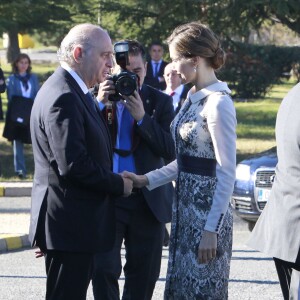 La reine Letizia d'Espagne procédait le 10 novembre 2015 à la remise cérémonielle du drapeau à la Police nationale espagnole, à Avila (centre de l'Espagne).