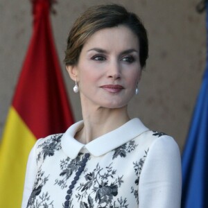 La reine Letizia d'Espagne procédait le 10 novembre 2015 à la remise cérémonielle du drapeau à la Police nationale espagnole, à Avila (centre de l'Espagne).