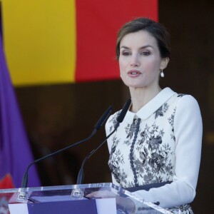 La reine Letizia d'Espagne procédait le 10 novembre 2015 à la remise cérémonielle du drapeau à la Police nationale espagnole, à Avila (centre de l'Espagne).