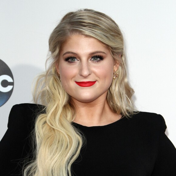Meghan Trainor - La 43ème cérémonie annuelle des "American Music Awards" à Los Angeles, le 22 novembre 2015.