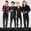 Louis Tomlinson, Liam Payne, Niall Horan and Harry Styles (One Direction) - La 43ème cérémonie annuelle des "American Music Awards" à Los Angeles, le 22 novembre 2015.