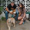 George et Amal Clooney ont adopté un petit chien, Millie, annonce le San Gabriel Valley Humane Society.