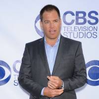 Michael Weatherly arrêté : La star de "NCIS" passe quinze heures en prison