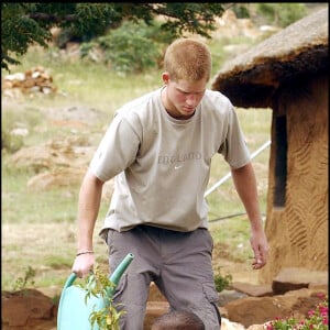 Le prince Harry plantant un pêcher au Lesotho avec Mutsu Potsane, alors âgé de 4 ans, lors de leur première rencontre, en mars 2004. Au fil des ans, leur amitié a perduré au gré des visites du prince britannique.