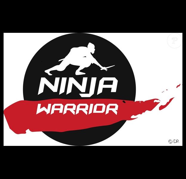 TF1 vient d'acheter les droits d'adaptation de Ninja Warrior.
