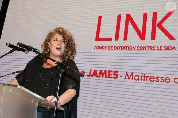 Marianne James - Dîner LINK pour AIDES 2015 à l'Espace Vendôme à Paris le 7 décembre 2015. © Dominique Jacovides