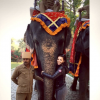 Eva Longoria : heureuse durant un périle extraordinaire en Inde