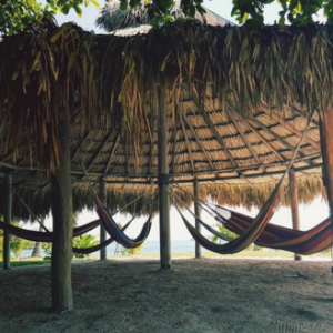 Laury Thilleman passe le Nouvel An au soleil et dévoile des abdos en béton ! Décembre 2015.
