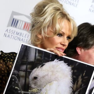 Pamela Anderson - L'actrice américaine Pamela Anderson a tenu une conférence de presse aux côtés de la députée Laurence Abeille, le fondateur de l'ONG Sea Shepherd Paul Watson, l'ancienne Miss France Delphine Wespiser et le porte-parole de la Fondation Brigitte Bardot, Christophe Marie à l'Assemblée Nationale à Paris, le 19 janvier 2016. L'actrice américaine est venue soutenir la présentation d'une proposition de loi écologiste sur le gavage d'animaux pour la production de foie gras. © Dominique Jacovides/Bestimage