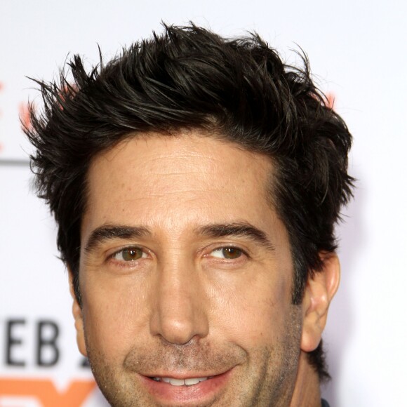 David Schwimmer - Première de la série "The People v. O.J. Simpson : American Crime Story" à Los Angeles, le 27 janvier 2016