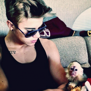 Justin Bieber pose avec son petit capucin, Mally, reçu en cadeau pour ses 19 ans. Photo publiée sur Instagram en mars 2013.