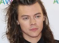 Harry Styles : Le chanteur des 1D au casting d'un blockbuster hollywoodien