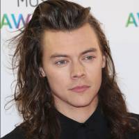 Harry Styles : Le chanteur des 1D au casting d'un blockbuster hollywoodien