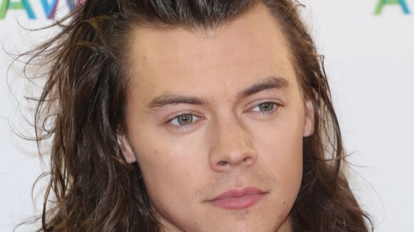 Harry Styles : Le chanteur des 1D au casting d'un blockbuster hollywoodien