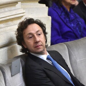 Stéphane Bern - Le philosophe Alain Finkielkraut entre à l'Académie Française à Paris le 28 janvier 2016. © Giancarlo Gorassini/Bestimage