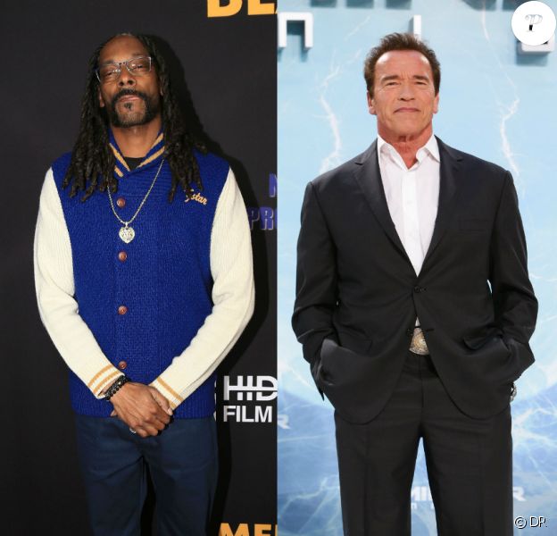 Snoop Dogg vs Arnold Schwarzenegger ! Révolté par un acte de Terminator, Snoop laisse exploser sa rage sur les réseaux sociaux...