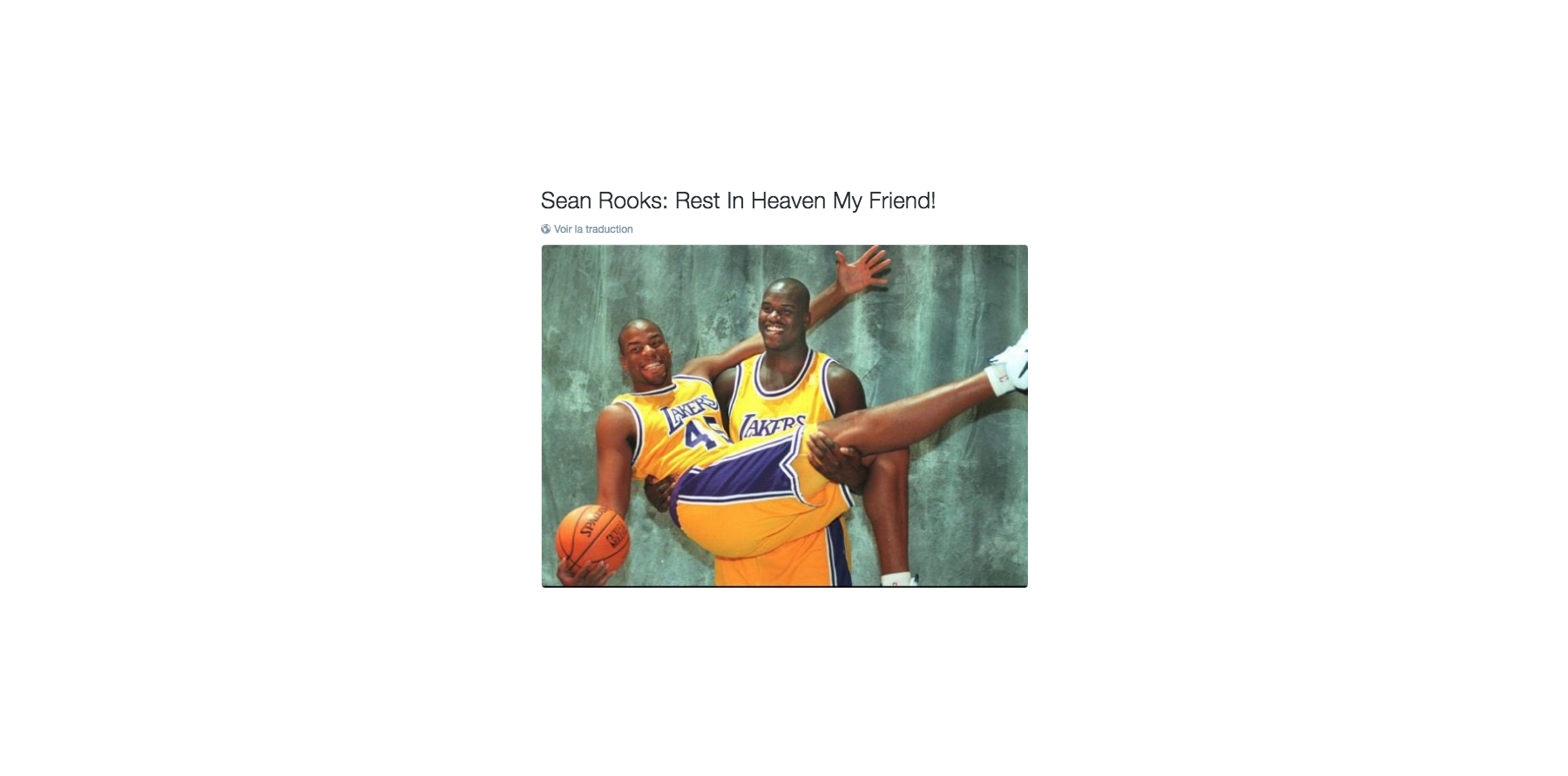 Mort de Sean Rooks à 46 ans : la NBA en deuil... - Purepeople
