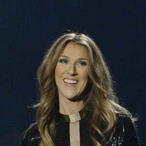 Concert de Celine Dion au Palais Omnisports de Paris-Bercy, le 5 decembre 2013.