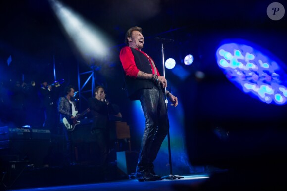 Exclusif - Johnny Hallyday en concert dans les Arènes de Nîmes - Jour 2 - Le 3 juillet 2015