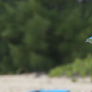 Britney Spears se relaxe sur une plage de Hawaï avec ses enfants Sean and Jaden à Hawaï le 5 aout 2016.