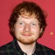 Ed Sheeran possède son double de cire au musée de Madame Tussauds à New York le 28 mai 2015.
