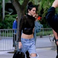 Kendall Jenner : Son harceleur inculpé était connu de la police