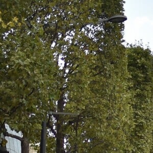 Paris organise sa deuxième "journée sans voiture" à Paris, France, le 25 septembre 2016. La Mairie de Paris a interdit la circulation sur près de 45% du territoire parisien intra-muros. © Lionel Urman/Bestimage